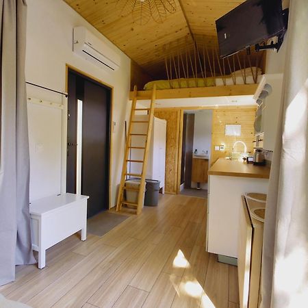 Apartamenty Zabcia กชึชโบโว ภายนอก รูปภาพ